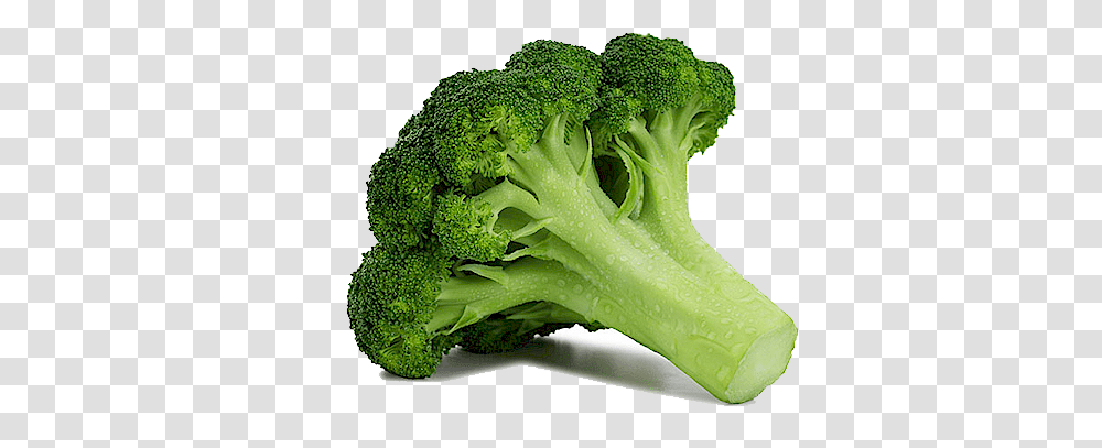 Broccoli, Vegetable, Plant, Food Transparent Png
