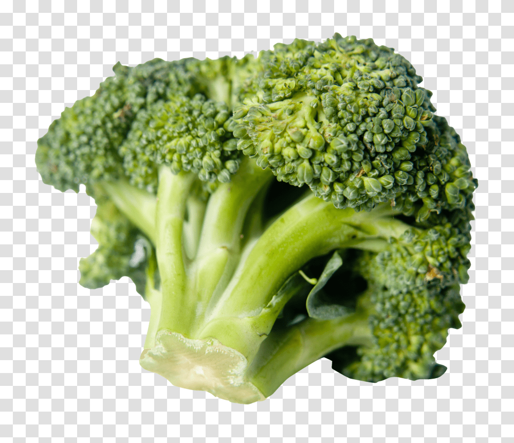 Broccoli, Vegetable, Plant, Food Transparent Png