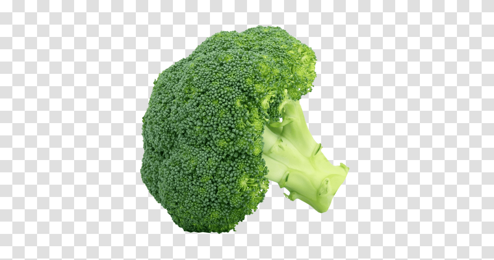 Broccoli, Vegetable, Plant, Food Transparent Png