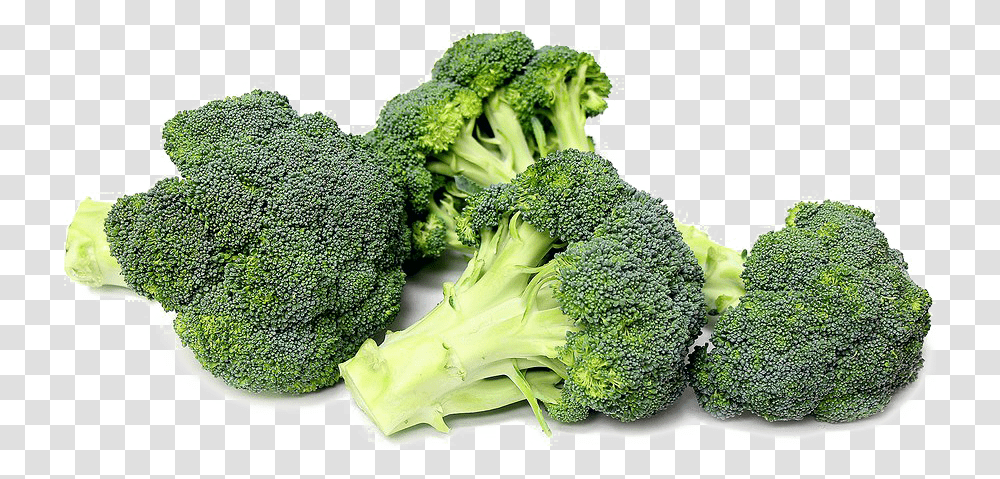 Broccoli, Vegetable, Plant, Food Transparent Png