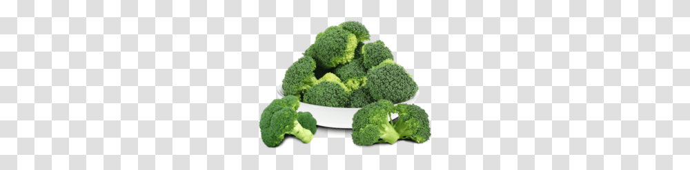 Broccoli, Vegetable, Plant, Food Transparent Png