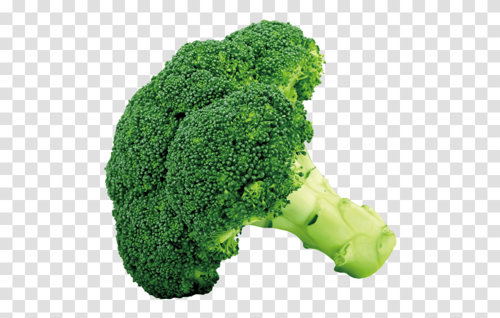 Broccoli, Vegetable, Plant, Food Transparent Png