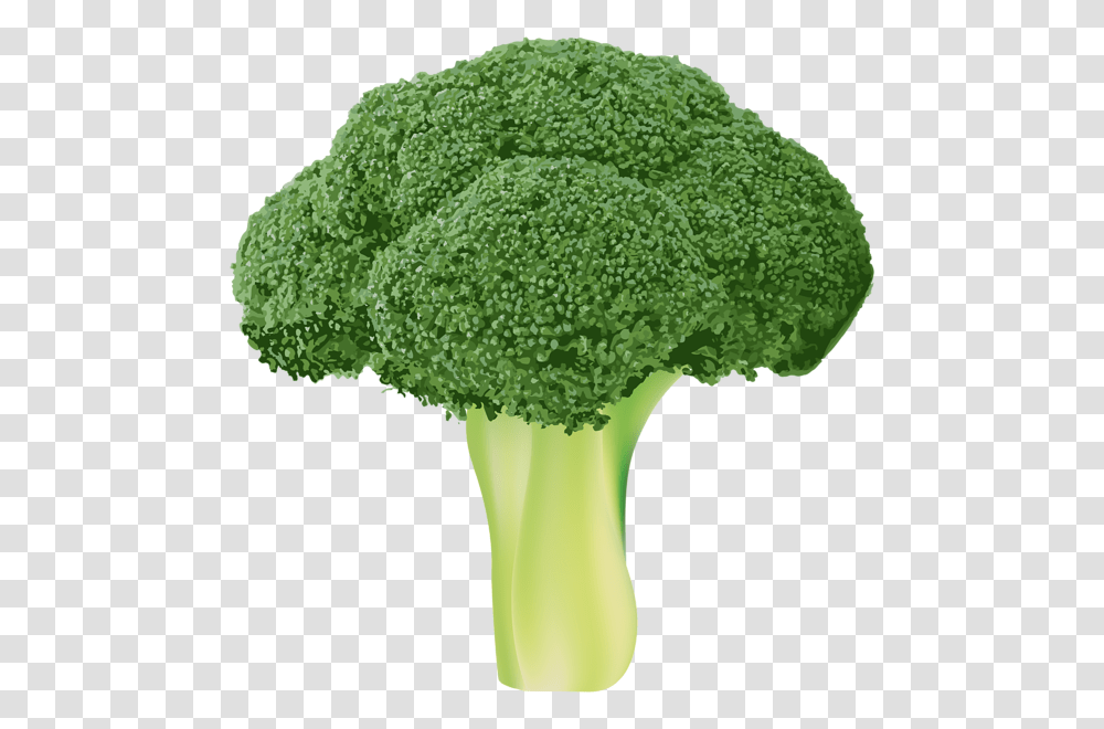 Broccoli, Vegetable, Plant, Food Transparent Png