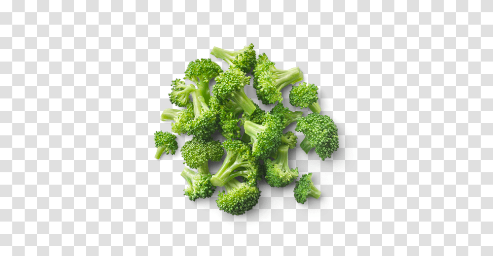 Broccoli, Vegetable, Plant, Food Transparent Png