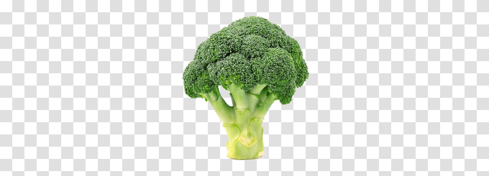 Broccoli, Vegetable, Plant, Food Transparent Png