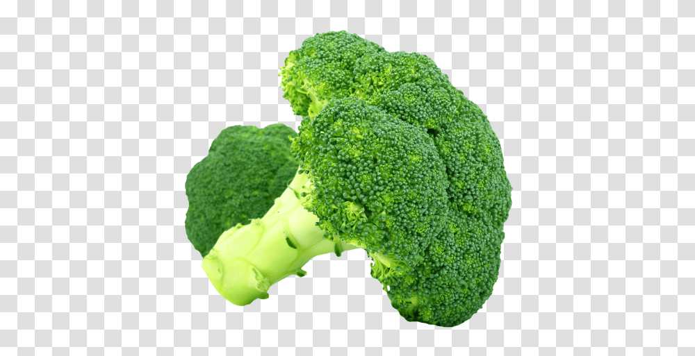 Broccoli, Vegetable, Plant, Food Transparent Png