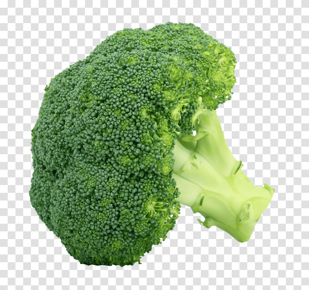 Broccoli, Vegetable, Plant, Food Transparent Png