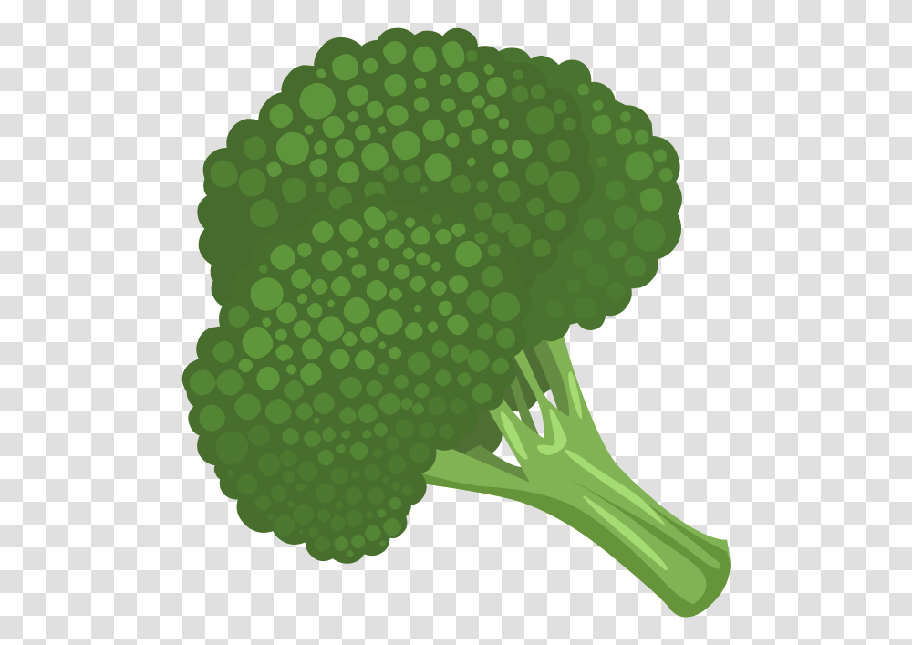 Broccoli, Vegetable, Plant, Food Transparent Png