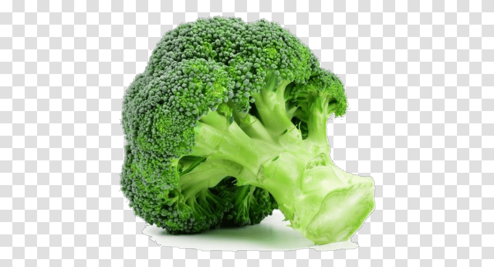 Broccoli, Vegetable, Plant, Food Transparent Png