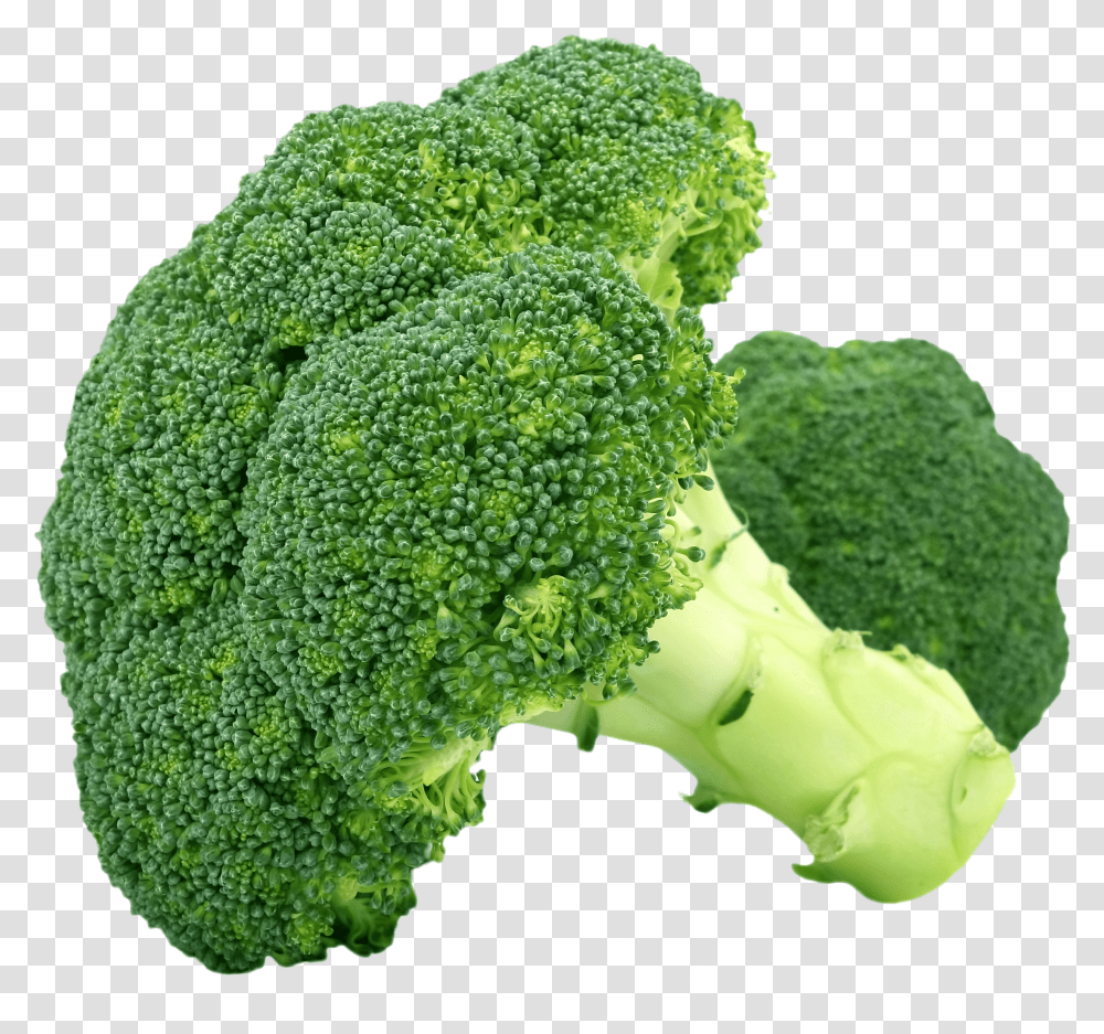 Broccoli Vegetable Steaming Fruit Flower Vegetables Examples Transparent Png