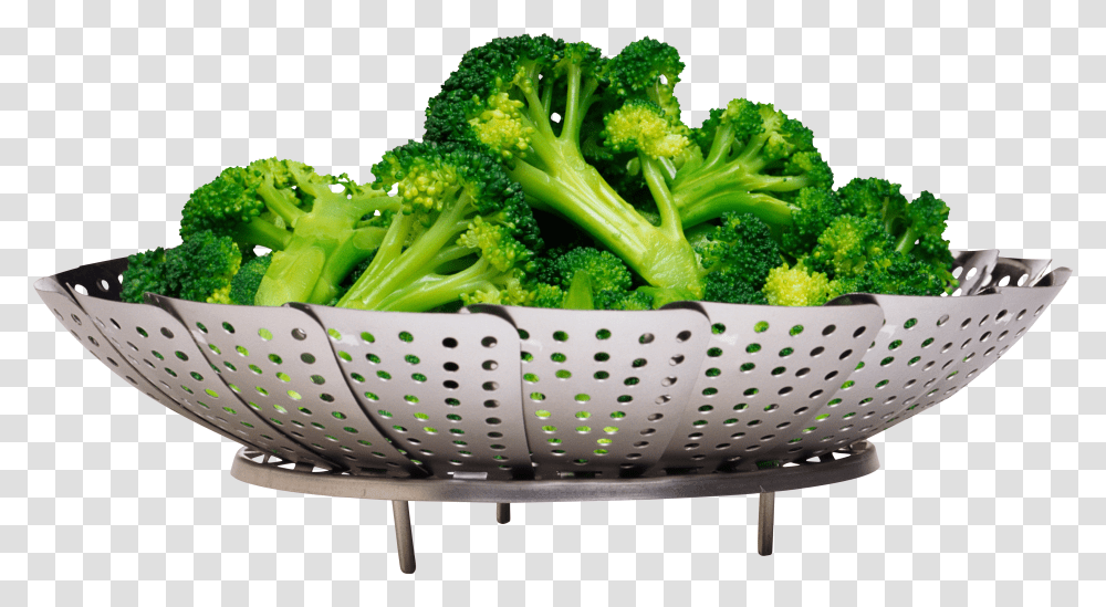 Broccoli, Vegetable Transparent Png