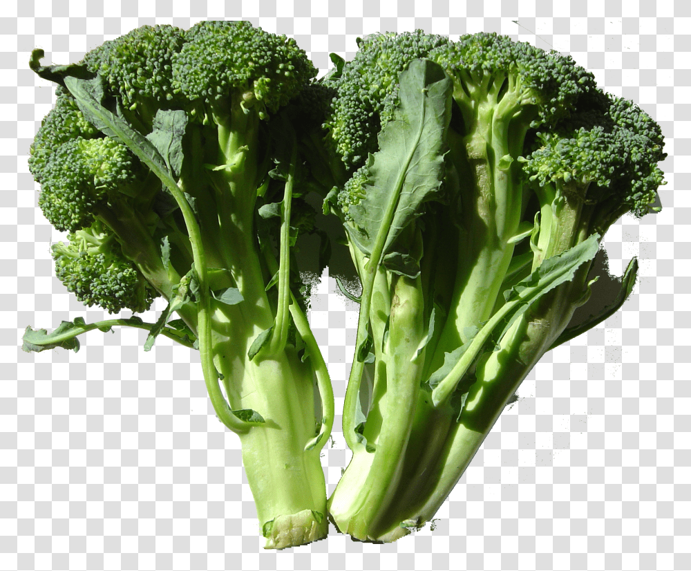 Broccoli, Vegetable Transparent Png