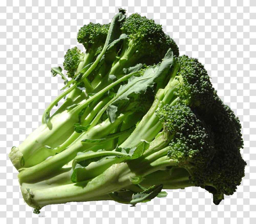Broccoli, Vegetable Transparent Png