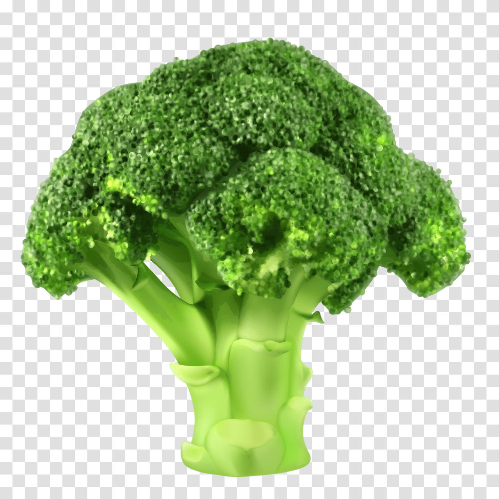 Broccoli, Vegetable Transparent Png