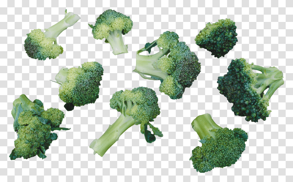 Broccoli, Vegetable Transparent Png