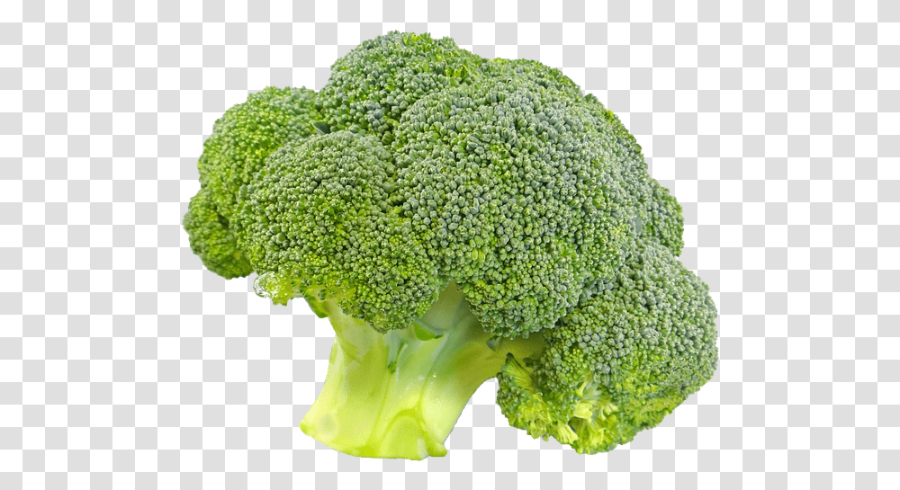 Broccoli Vegetable Wallpaper Broccoli Background, Plant, Food Transparent Png