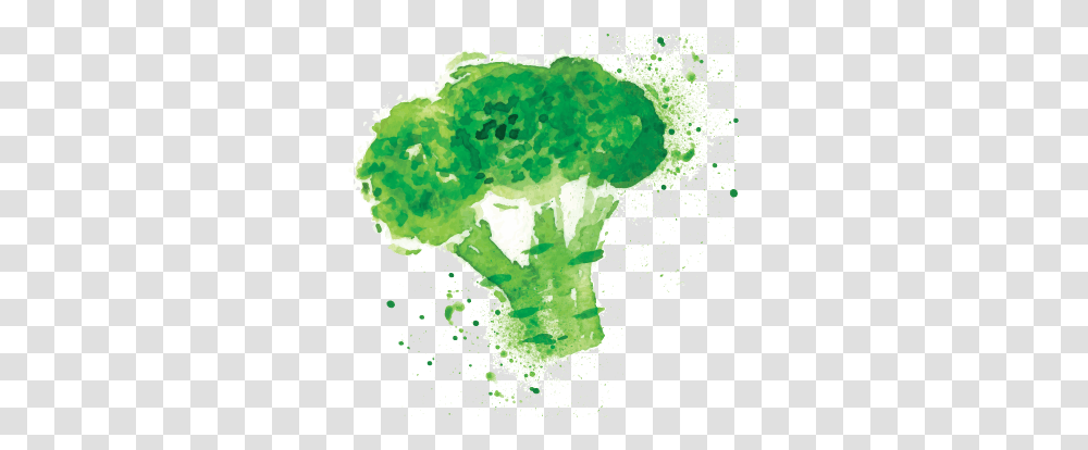 Broccoli Watercolor Health, Plant, Vegetable, Food, Fungus Transparent Png