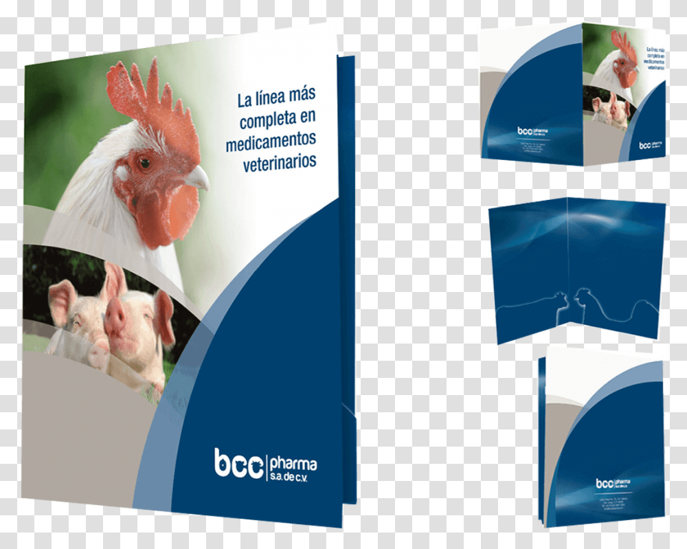 Brochure Download De Folders Institucionales, Poster, Advertisement, Flyer, Paper Transparent Png