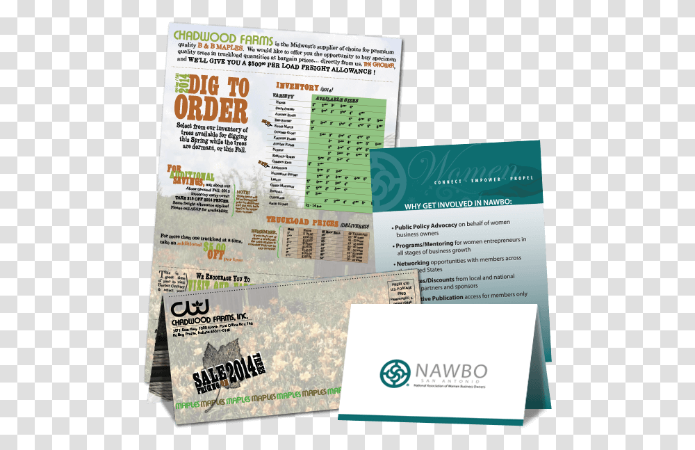 Brochure, Flyer, Poster, Paper, Advertisement Transparent Png