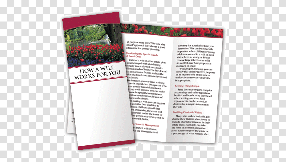 Brochure, Flyer, Poster, Paper, Advertisement Transparent Png