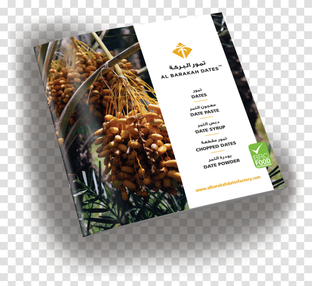 Brochure Mockup Flyer, Poster, Advertisement, Paper, Menu Transparent Png