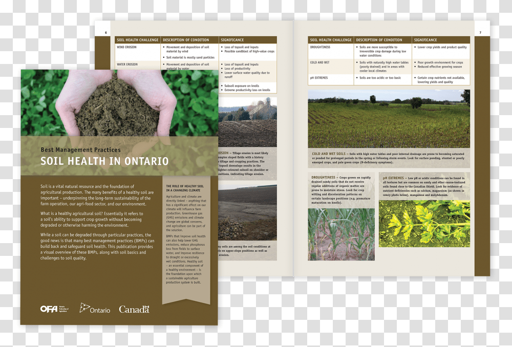Brochure, Person, Human, Poster, Advertisement Transparent Png