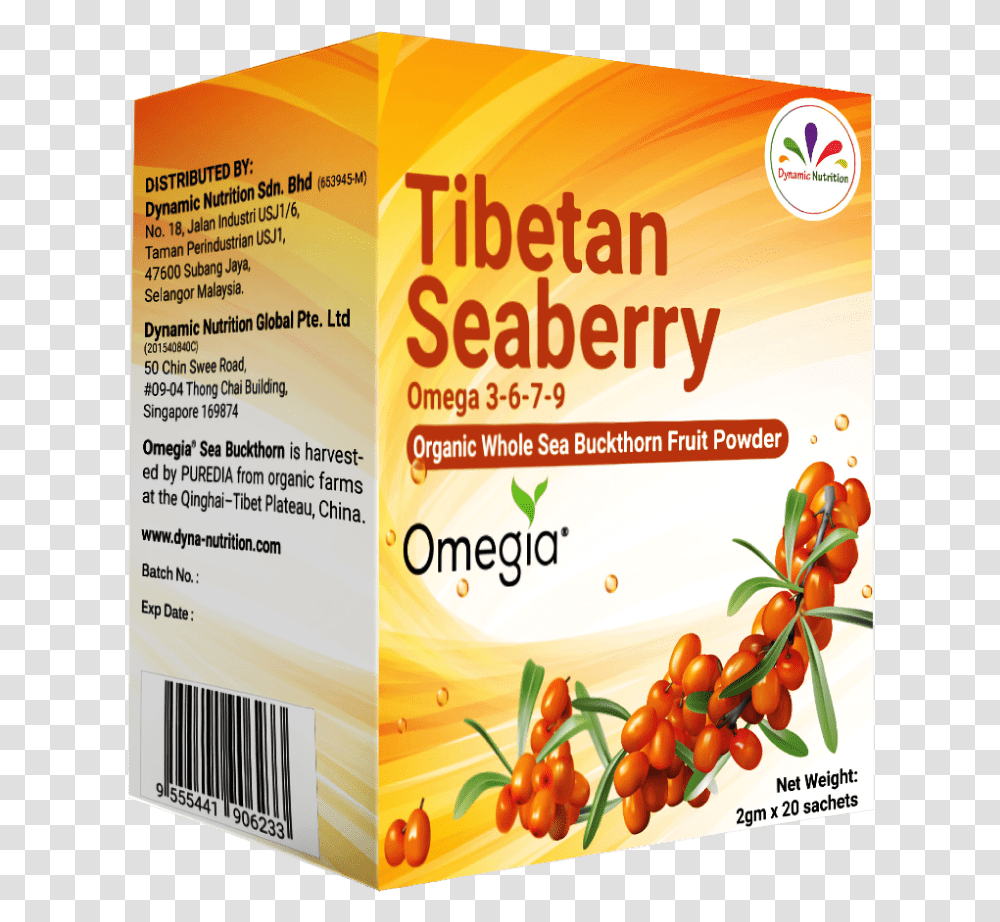 Brochure, Poster, Advertisement, Flyer, Paper Transparent Png
