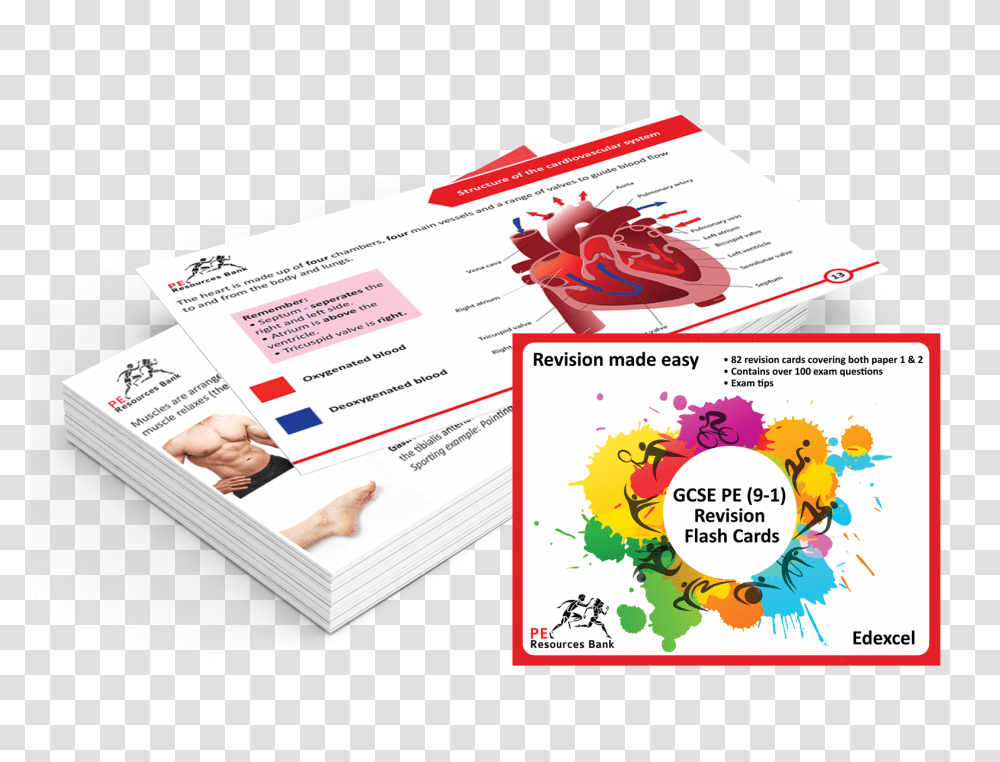 Brochure, Poster, Advertisement, Flyer, Paper Transparent Png