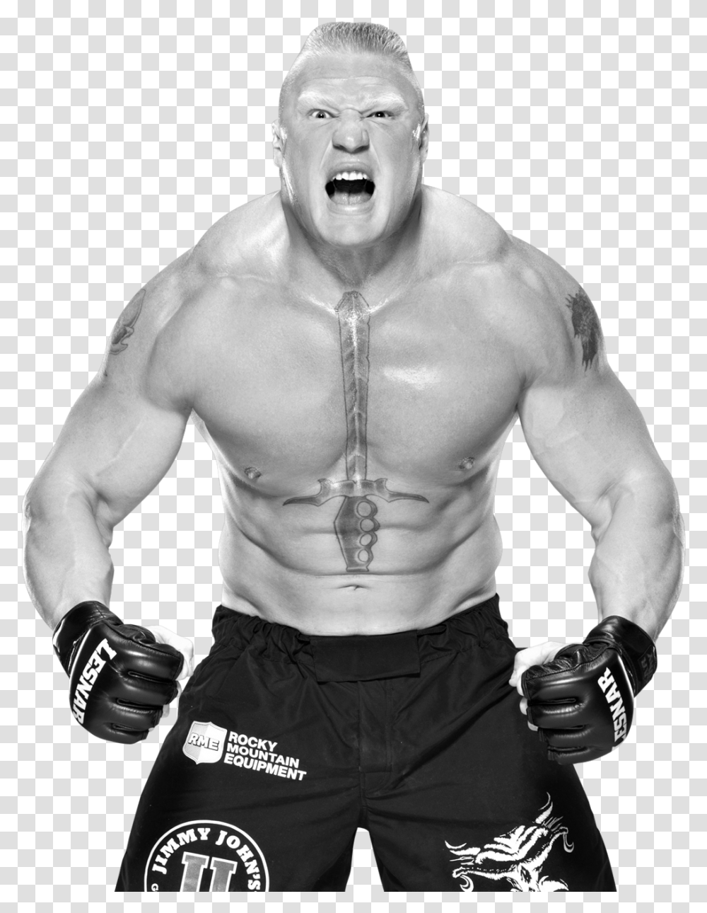 Brock Lesnar Background Before And After Brock Lesnar Old Wwe, Person, Human, Sport, Sports Transparent Png
