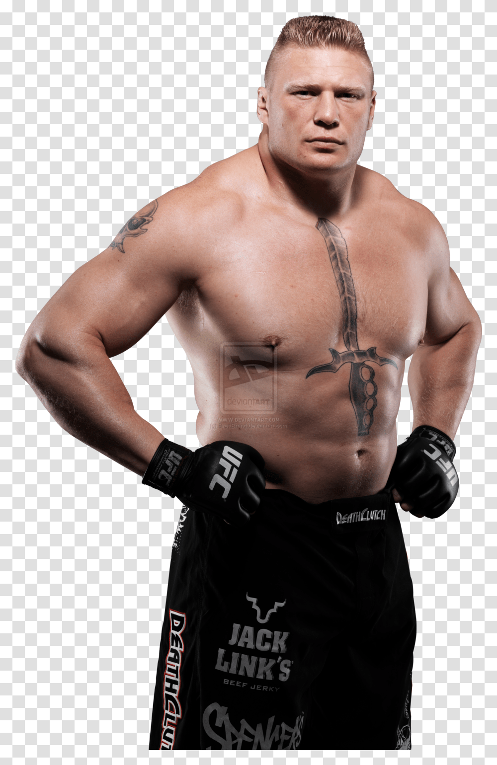 Brock Lesnar Free Download Heavyweight Brock Lesnar Wwe Champion, Person, Human, Skin, Sport Transparent Png