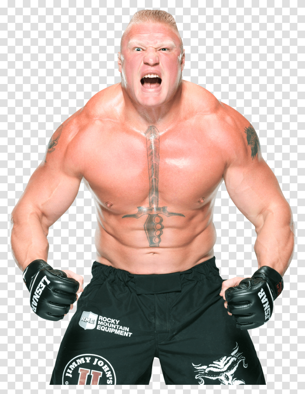 Brock Lesnar Professional Wrestling Brock Lesnar, Person, Human, Skin, Sport Transparent Png