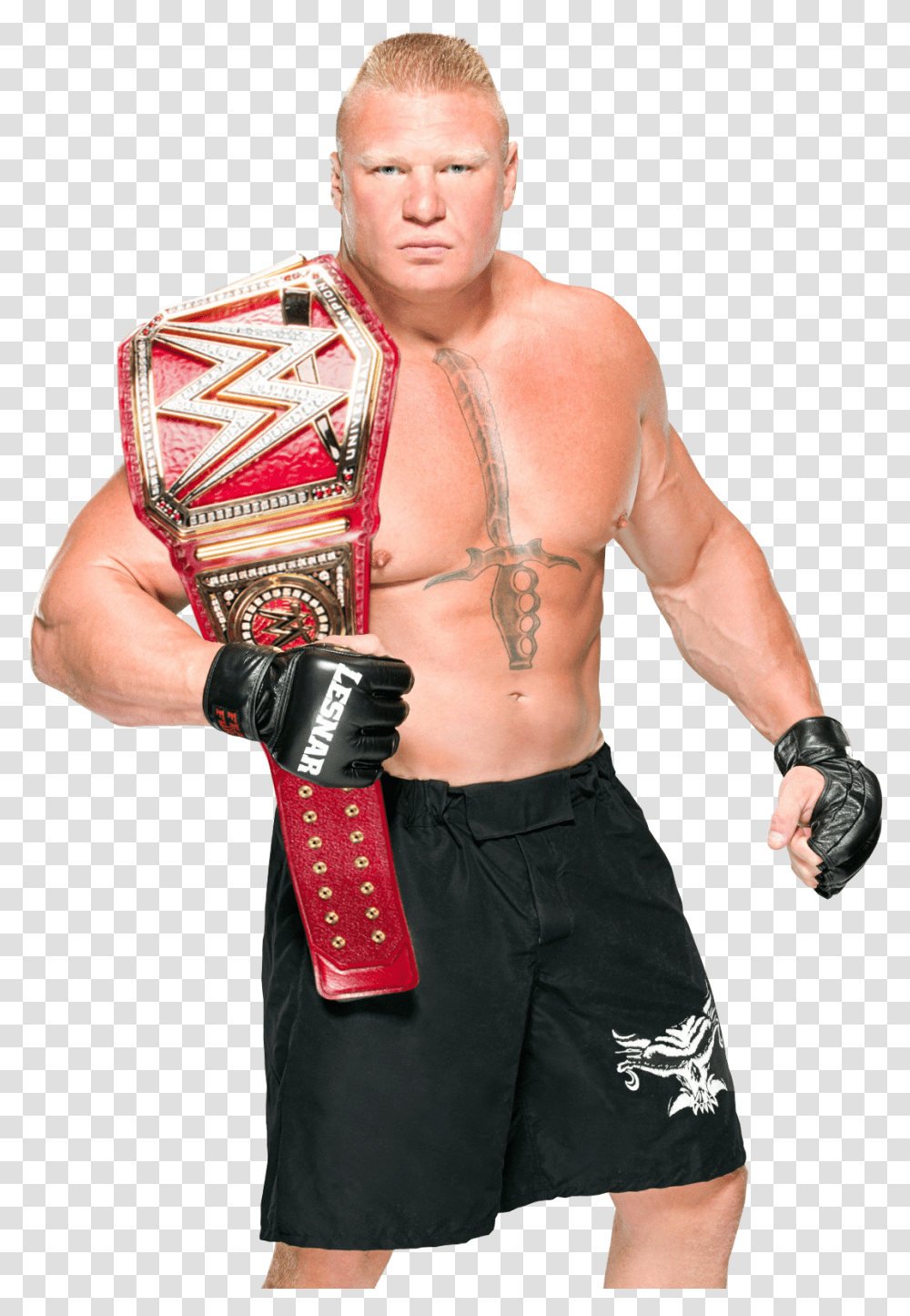 Brock Lesnar Wwe World Heavyweight Championship, Skin, Person, Costume, Tie Transparent Png