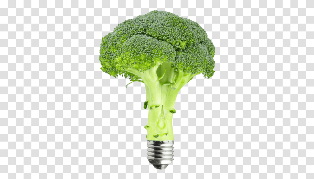 Brocoli Broccoli Kl, Vegetable, Plant, Food Transparent Png