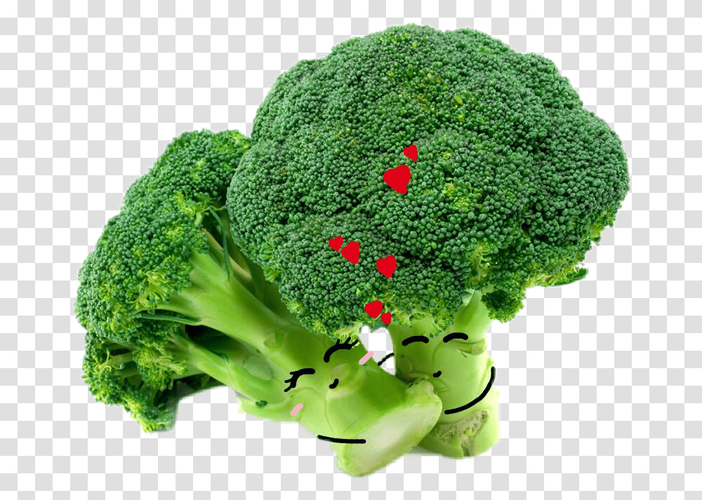 Brocoli Love Fresh Broccoli, Plant, Vegetable, Food Transparent Png