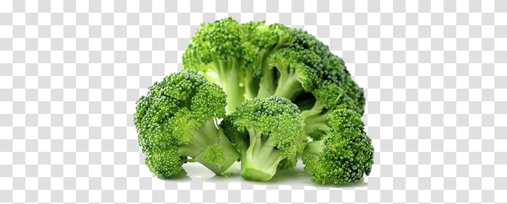 Brocolli 2 Image Broccoli, Plant, Vegetable, Food Transparent Png
