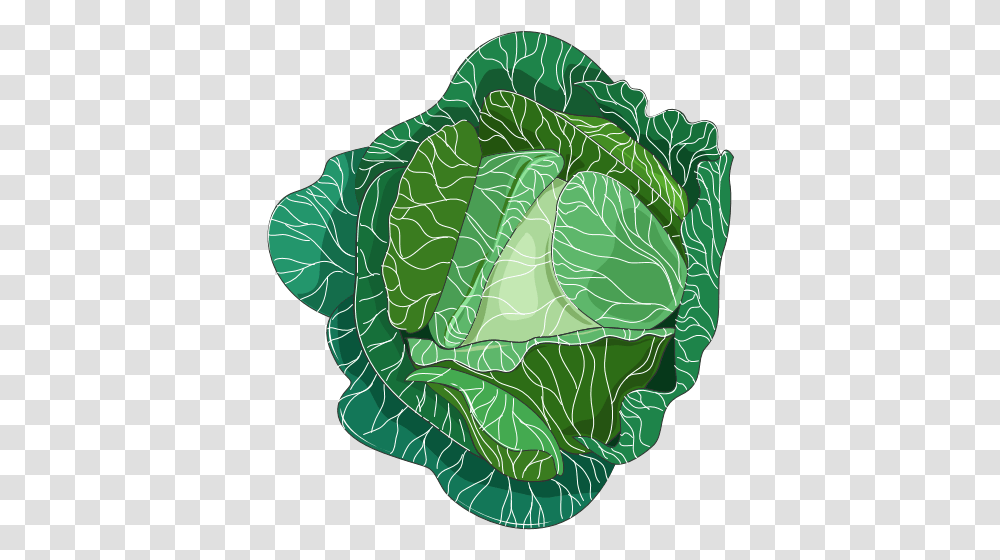 Brocolli Clip Art Cabbage, Plant, Vegetable, Food, Head Cabbage Transparent Png