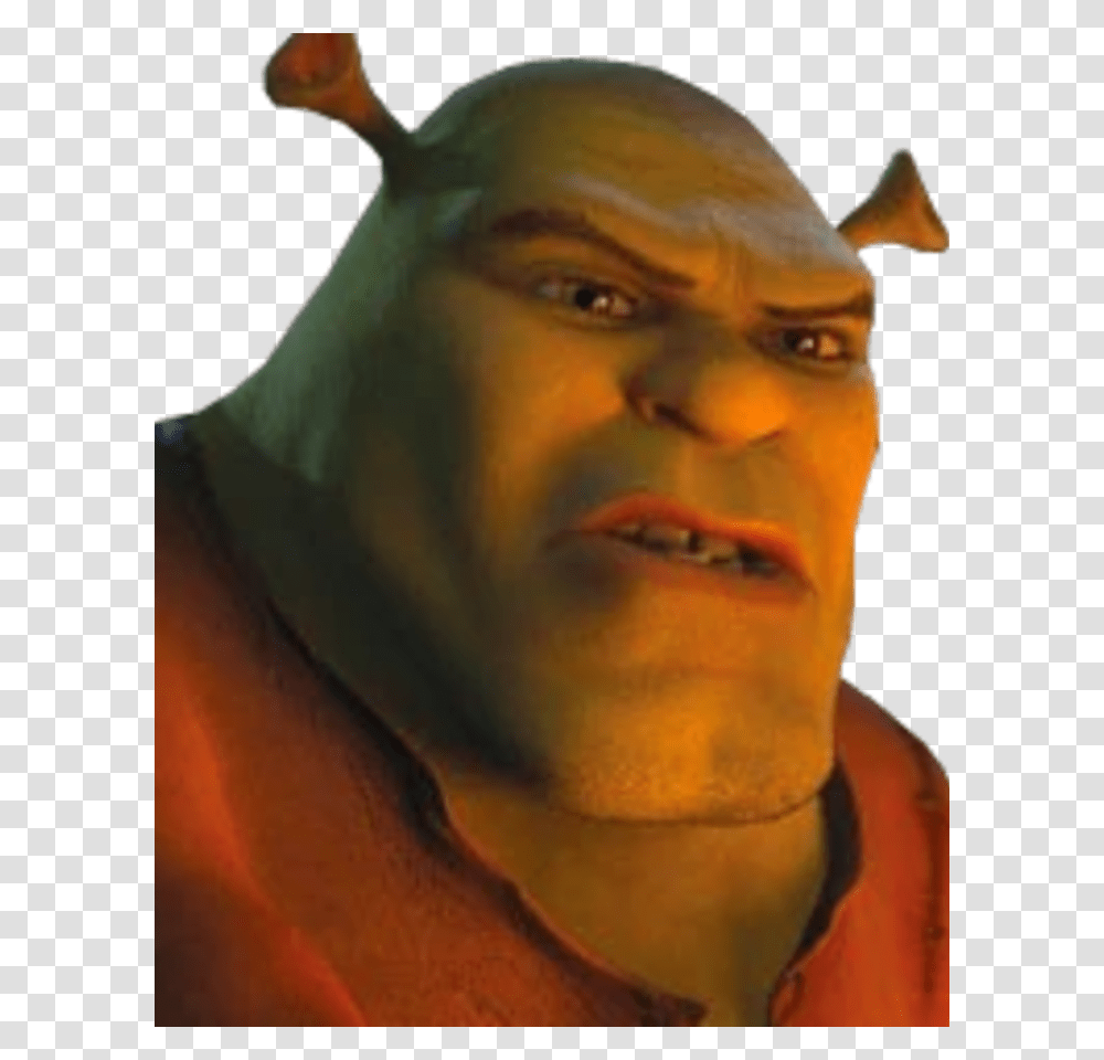 Brogan Shrek Forever After, Face, Person, Head, Neck Transparent Png