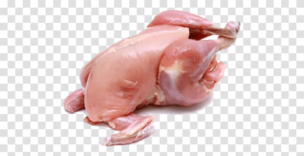 Broiler Chicken Meat, Animal, Bird, Fowl, Poultry Transparent Png