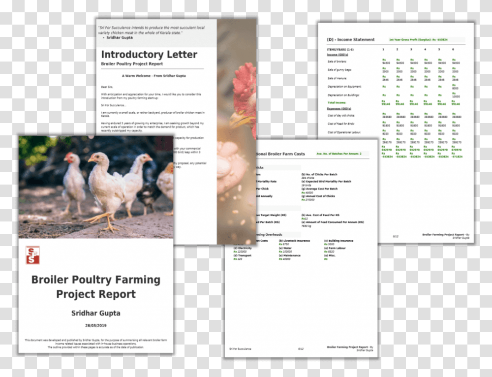 Broiler Farming Project Report Pdf Chicken, Page, Bird, Animal Transparent Png