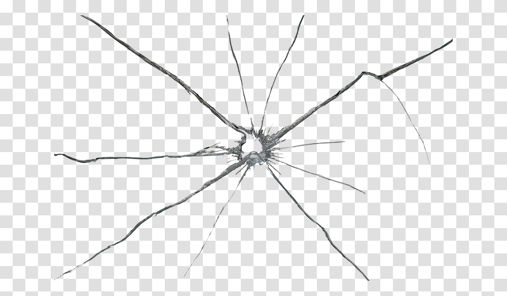 Broken Glass Background Cracked Glass, Spider, Invertebrate, Animal, Arachnid Transparent Png