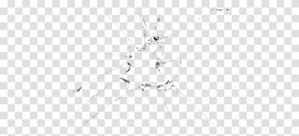 Broken Glass Clipart Insect, Bow, Spider Transparent Png