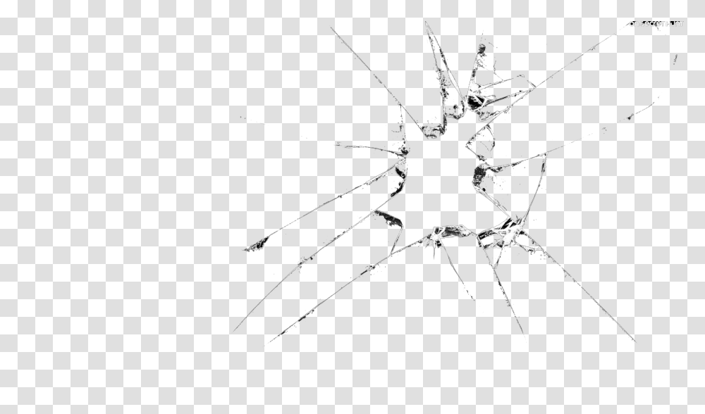 Broken Glass, Spider, Insect, Drawing Transparent Png