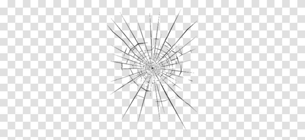 Broken Glass, Spider, Invertebrate, Animal, Arachnid Transparent Png