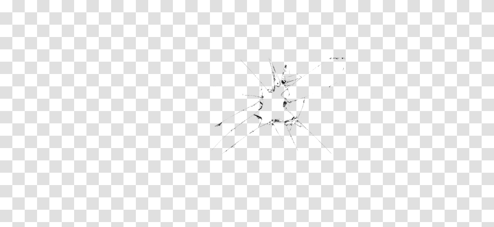 Broken Glass, Spider, Invertebrate, Animal, Arachnid Transparent Png