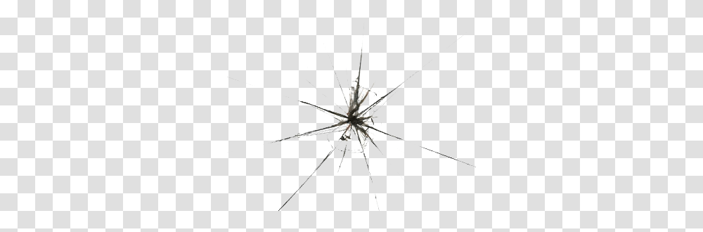 Broken Glass, Spider, Invertebrate, Animal, Utility Pole Transparent Png