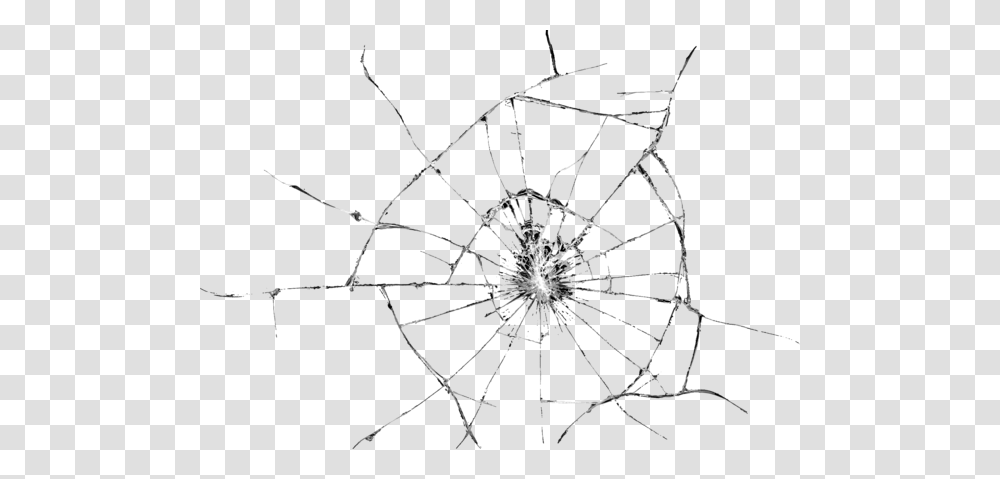 Broken Glass, Spider Web, Invertebrate, Animal, Arachnid Transparent Png