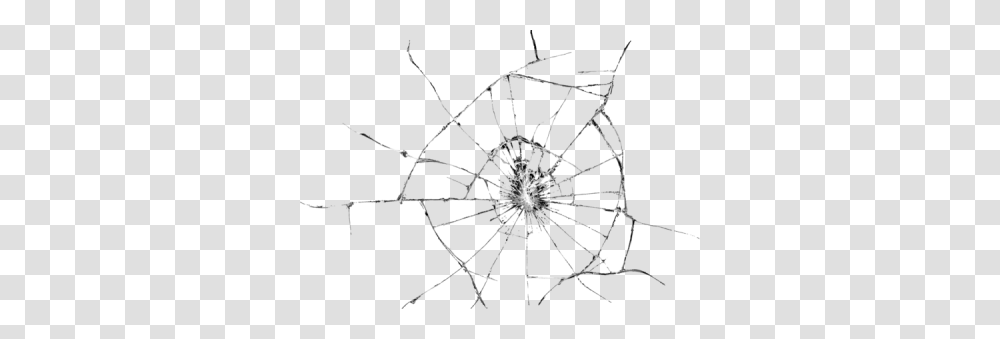 Broken Glass, Spider Web, Invertebrate, Animal, Arachnid Transparent Png