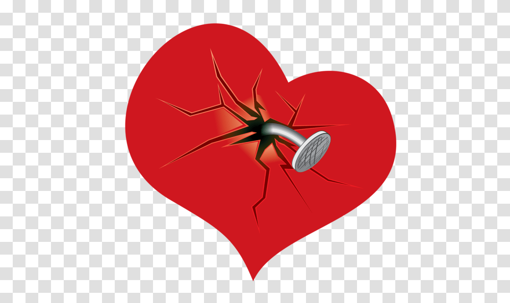 Broken Heart Picture, Petal, Flower, Plant, Blossom Transparent Png