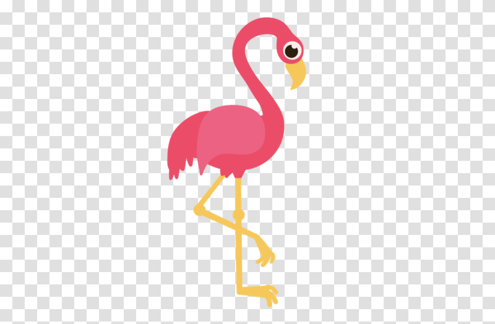 Broken Leg The Bored Flamingo, Bird, Animal, Beak Transparent Png