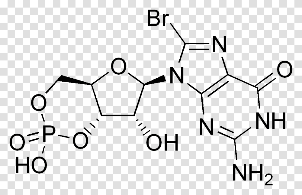 Bromo Cyclic Gmp 2 Amino Terephthalic Acid, Number Transparent Png